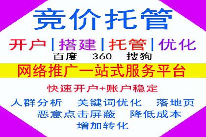SEM服务优势案例分享